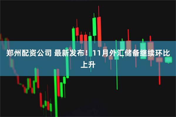 郑州配资公司 最新发布！11月外汇储备继续环比上升