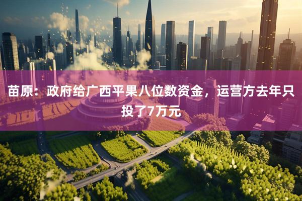 苗原：政府给广西平果八位数资金，运营方去年只投了7万元