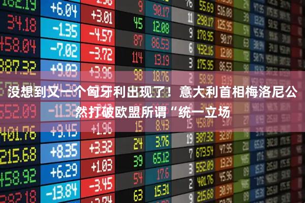 没想到又一个匈牙利出现了！意大利首相梅洛尼公然打破欧盟所谓“统一立场