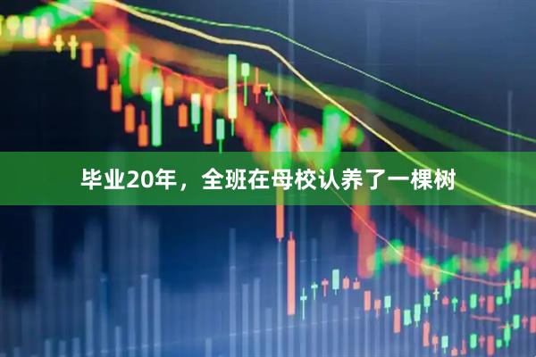毕业20年，全班在母校认养了一棵树