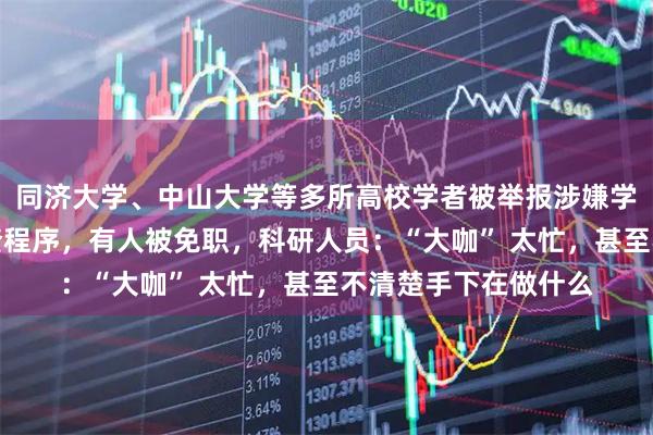 同济大学、中山大学等多所高校学者被举报涉嫌学术不端，已启动调查程序，有人被免职，科研人员：“大咖” 太忙，甚至不清楚手下在做什么