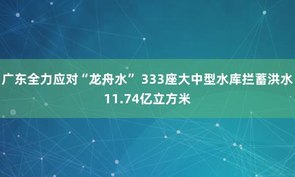 广东全力应对“龙舟水” 333座大中型水库拦蓄洪水11.74亿立方米