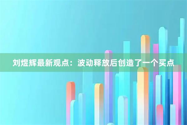 刘煜辉最新观点：波动释放后创造了一个买点