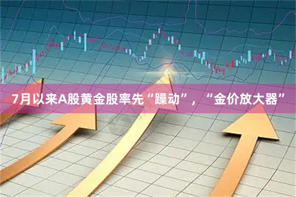 7月以来A股黄金股率先“躁动”，“金价放大器”