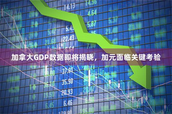 加拿大GDP数据即将揭晓，加元面临关键考验